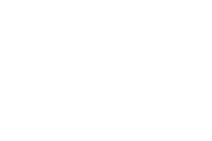 OFFICIAL SELECTION Laurels - 33rd Flickerfest International Short Film Festival 2024